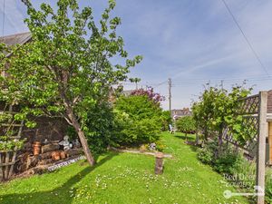 Garden- click for photo gallery